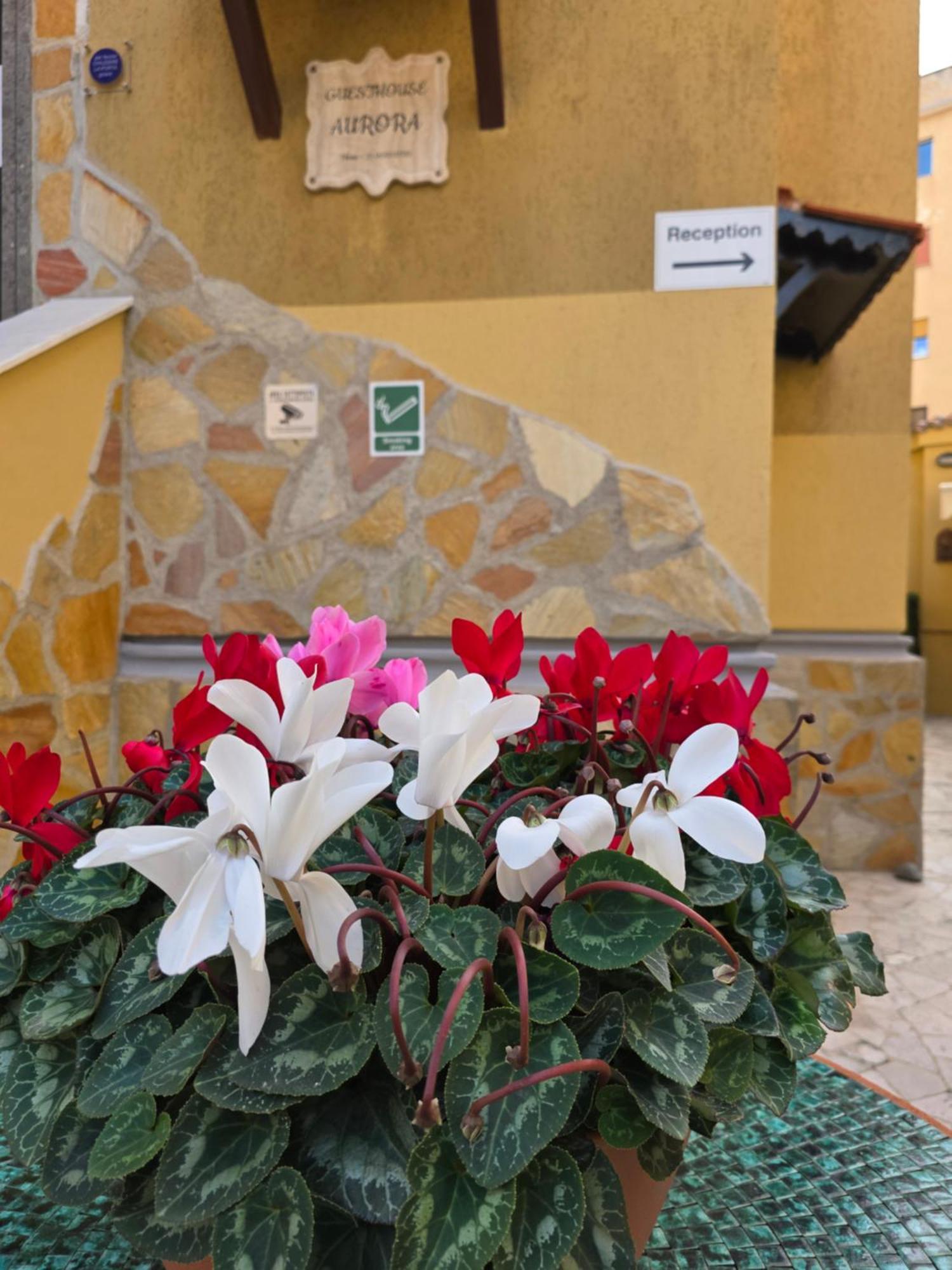 Guesthouse Aurora A.E. Рим Экстерьер фото